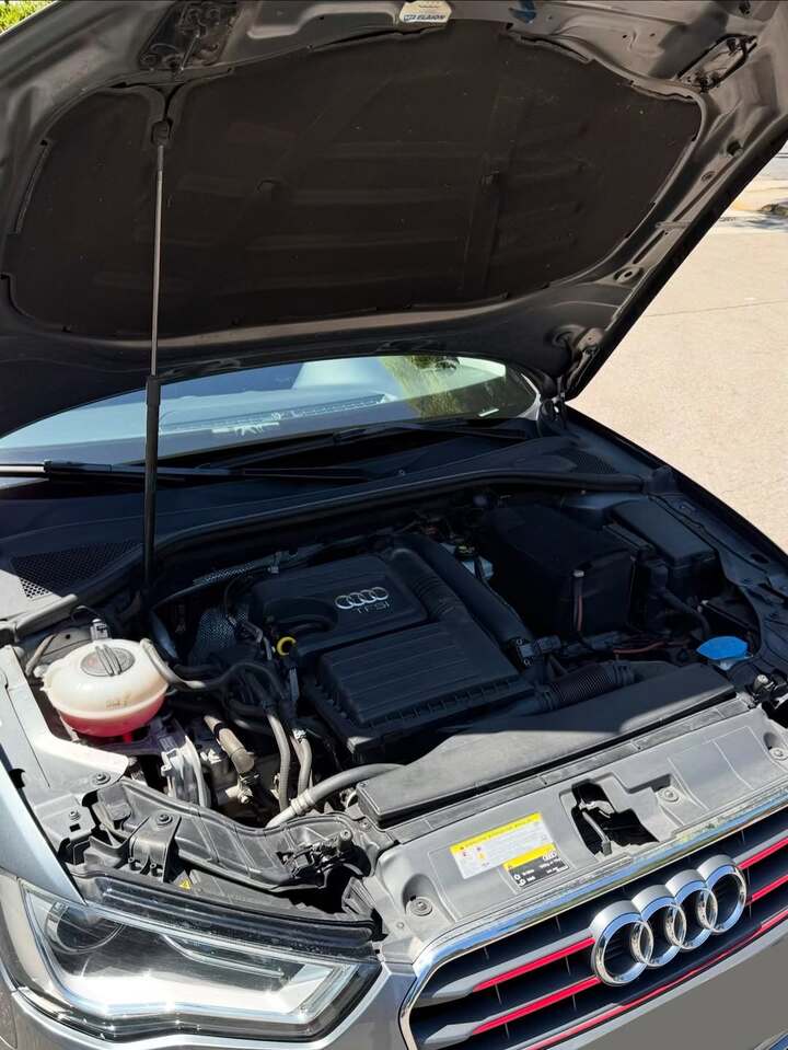 Perviu autos automotores (4)